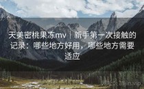 天美密桃果冻mv｜新手第一次接触的记录：哪些地方好用，哪些地方需要适应