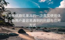 天美蜜桃麻花果冻的一次真实使用体验：新用户最容易遇到的问题与应对方式