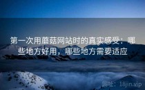 第一次用蘑菇网站时的真实感受：哪些地方好用，哪些地方需要适应