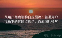 从用户角度聊聊白虎图片：普通用户视角下的优缺点盘点，白虎图片帅气