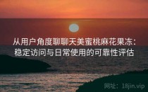 从用户角度聊聊天美蜜桃麻花果冻：稳定访问与日常使用的可靠性评估
