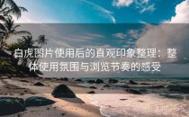 白虎图片使用后的直观印象整理：整体使用氛围与浏览节奏的感受