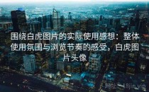 围绕白虎图片的实际使用感想：整体使用氛围与浏览节奏的感受，白虎图片头像