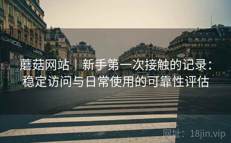 蘑菇网站｜新手第一次接触的记录：稳定访问与日常使用的可靠性评估  第2张