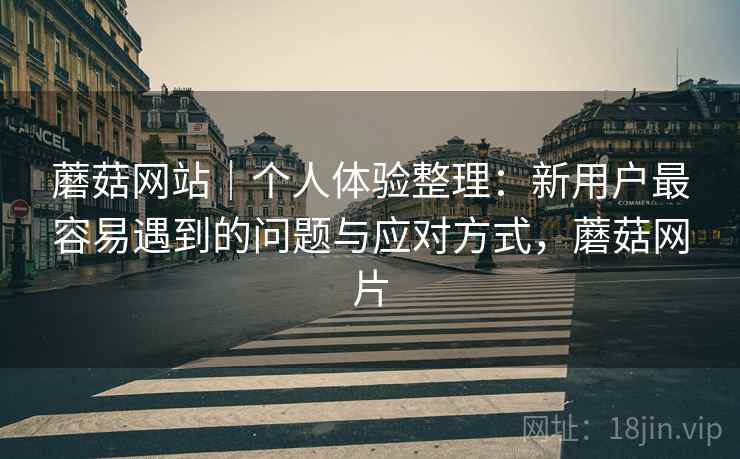 蘑菇网站｜个人体验整理：新用户最容易遇到的问题与应对方式，蘑菇网片  第1张