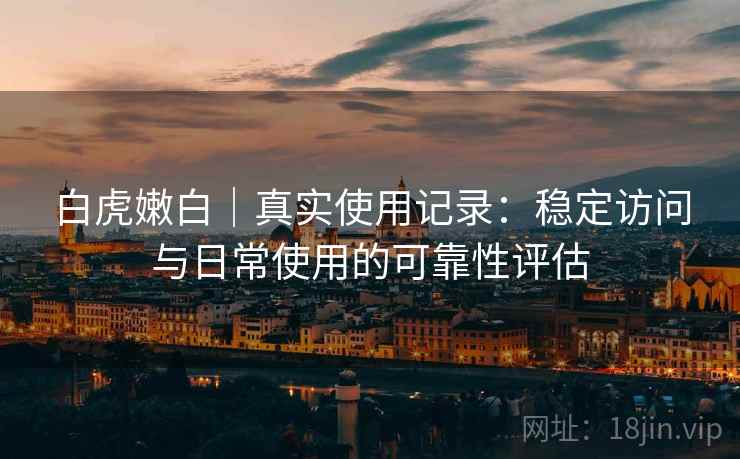 白虎嫩白｜真实使用记录：稳定访问与日常使用的可靠性评估  第2张