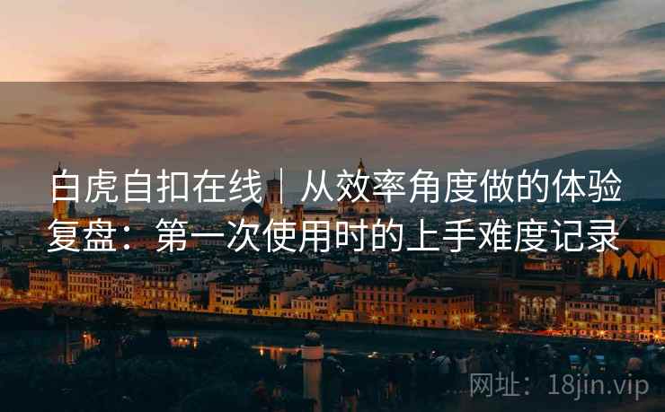 白虎自扣在线｜从效率角度做的体验复盘：第一次使用时的上手难度记录  第1张