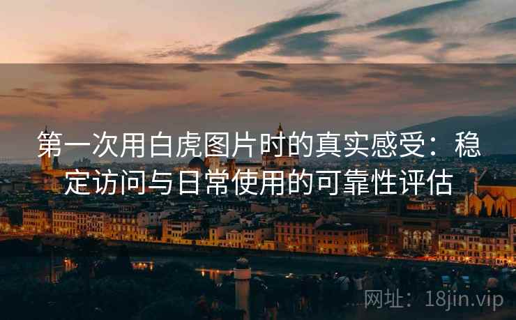 第一次用白虎图片时的真实感受:稳定访问与日常使用的可靠性评估 第2张 第一次用白虎图片时的真实感受:稳定访问与日常使用的可靠性评估 第2张
