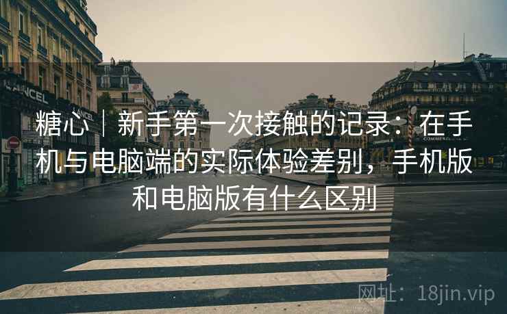 糖心｜新手第一次接触的记录：在手机与电脑端的实际体验差别，手机版和电脑版有什么区别  第2张
