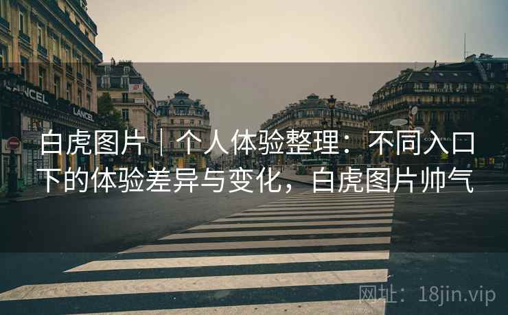 白虎图片｜个人体验整理：不同入口下的体验差异与变化，白虎图片帅气  第2张