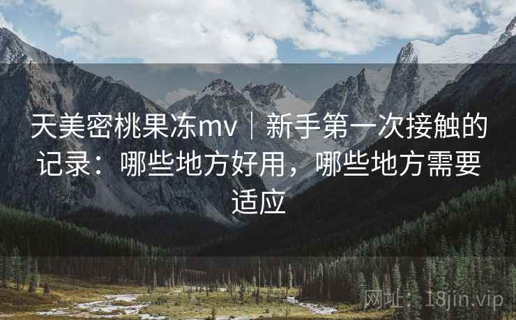 天美密桃果冻mv｜新手第一次接触的记录：哪些地方好用，哪些地方需要适应  第1张