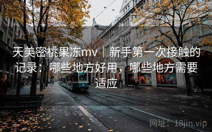天美密桃果冻mv｜新手第一次接触的记录：哪些地方好用，哪些地方需要适应  第2张