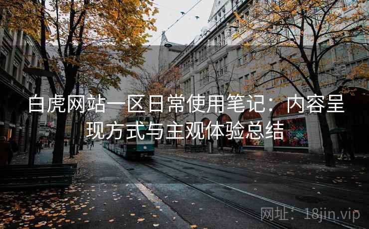 白虎网站一区日常使用笔记：内容呈现方式与主观体验总结  第2张
