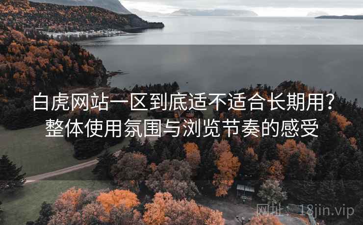 白虎网站一区到底适不适合长期用？整体使用氛围与浏览节奏的感受  第2张