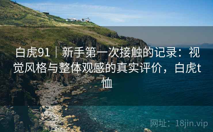 白虎91|新手第一次接触的记录:视觉风格与整体观感的真实评价,白虎t恤 第2张 白虎91|新手第一次接触的记录:视觉风格与整体观感的真实评价,白虎t恤 第2张