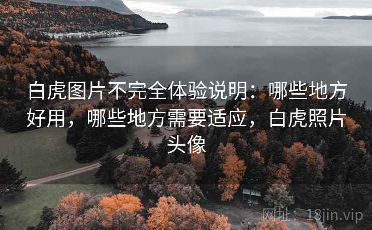 白虎图片不完全体验说明:哪些地方好用,哪些地方需要适应,白虎照片头像 第1张 白虎图片不完全体验说明:哪些地方好用,哪些地方需要适应,白虎照片头像 第1张