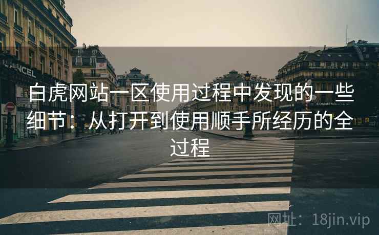 白虎网站一区使用过程中发现的一些细节:从打开到使用顺手所经历的全过程 第1张 白虎网站一区使用过程中发现的一些细节:从打开到使用顺手所经历的全过程 第1张