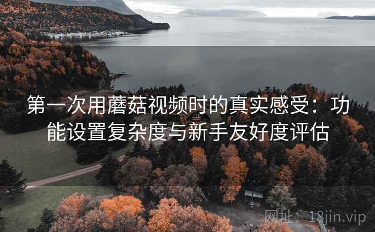 第一次用蘑菇视频时的真实感受:功能设置复杂度与新手友好度评估 第2张 第一次用蘑菇视频时的真实感受:功能设置复杂度与新手友好度评估 第2张
